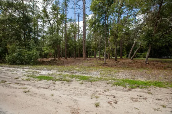 W HILLSBOROUGH AVE, Florahome, FL 32140