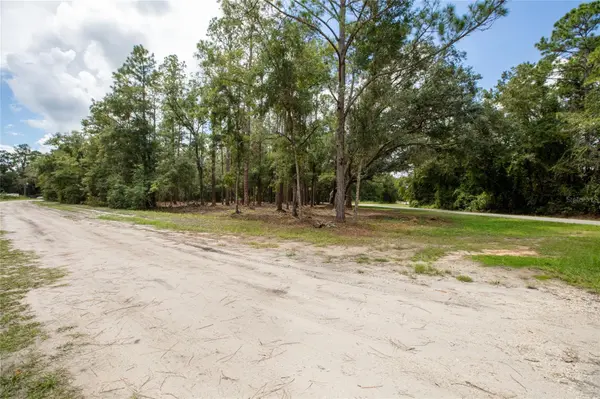 W HILLSBOROUGH AVE, Florahome, FL 32140
