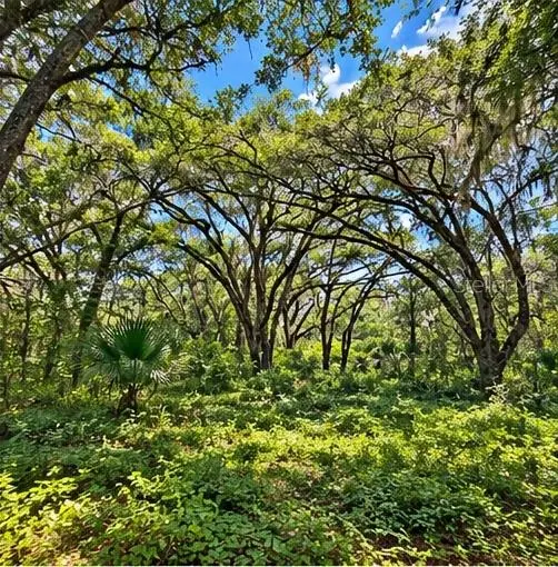 DEEPWELL DR, Brooksville, FL 34602