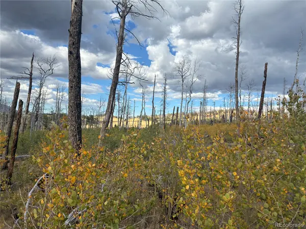 LOT 2257 Port LOOP, Fort Garland, CO 81133