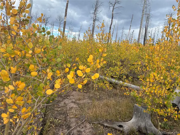 LOT 2257 Port LOOP, Fort Garland, CO 81133