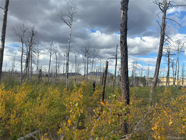 LOT 2257 Port LOOP, Fort Garland, CO 81133
