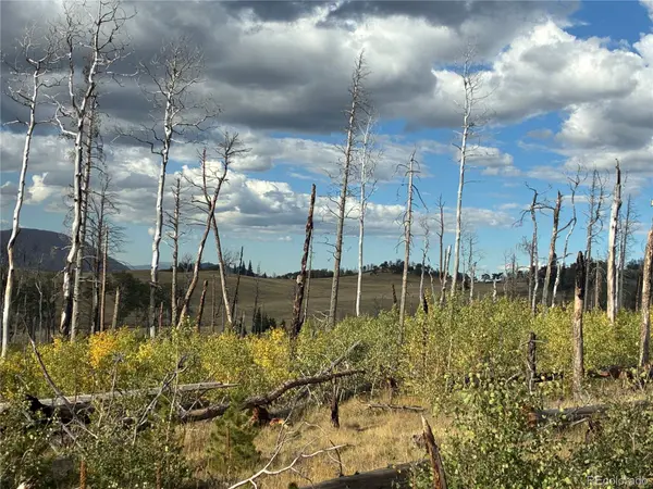 LOT 2257 Port LOOP, Fort Garland, CO 81133