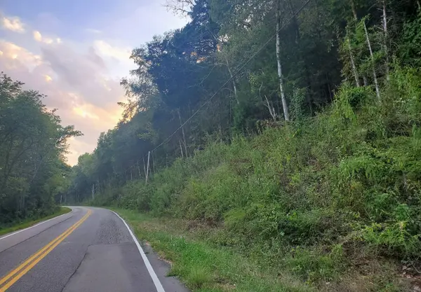 0 Club Springs Rd, Buffalo Valley, TN 38548