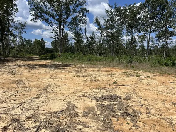 0 Wynn Rd, Big Sandy, TN 38221