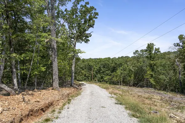 Lot 4 Cedar Bluff LN, Shell Knob, MO 65747