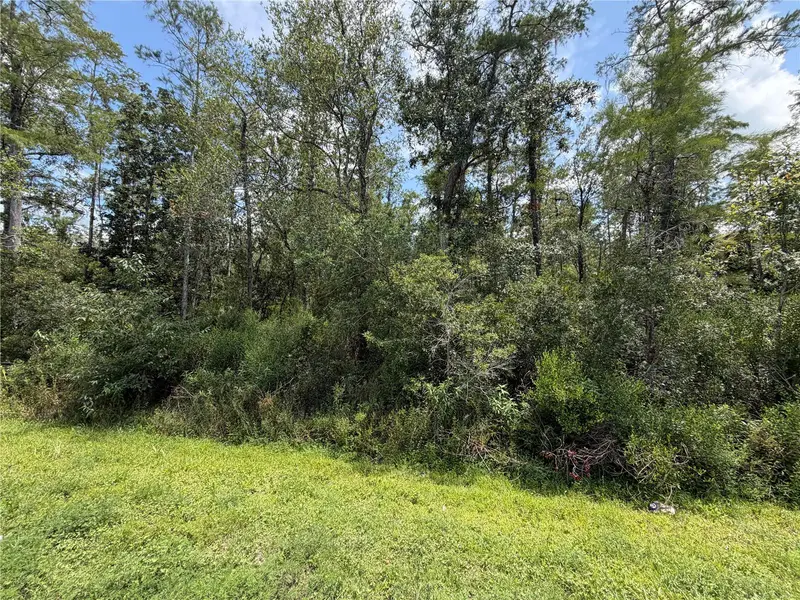 STARRY ST, Orlando, FL 32833