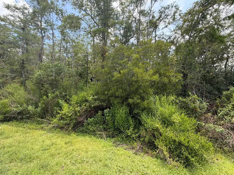 TUNBRIDGE ST, Orlando, FL 32833