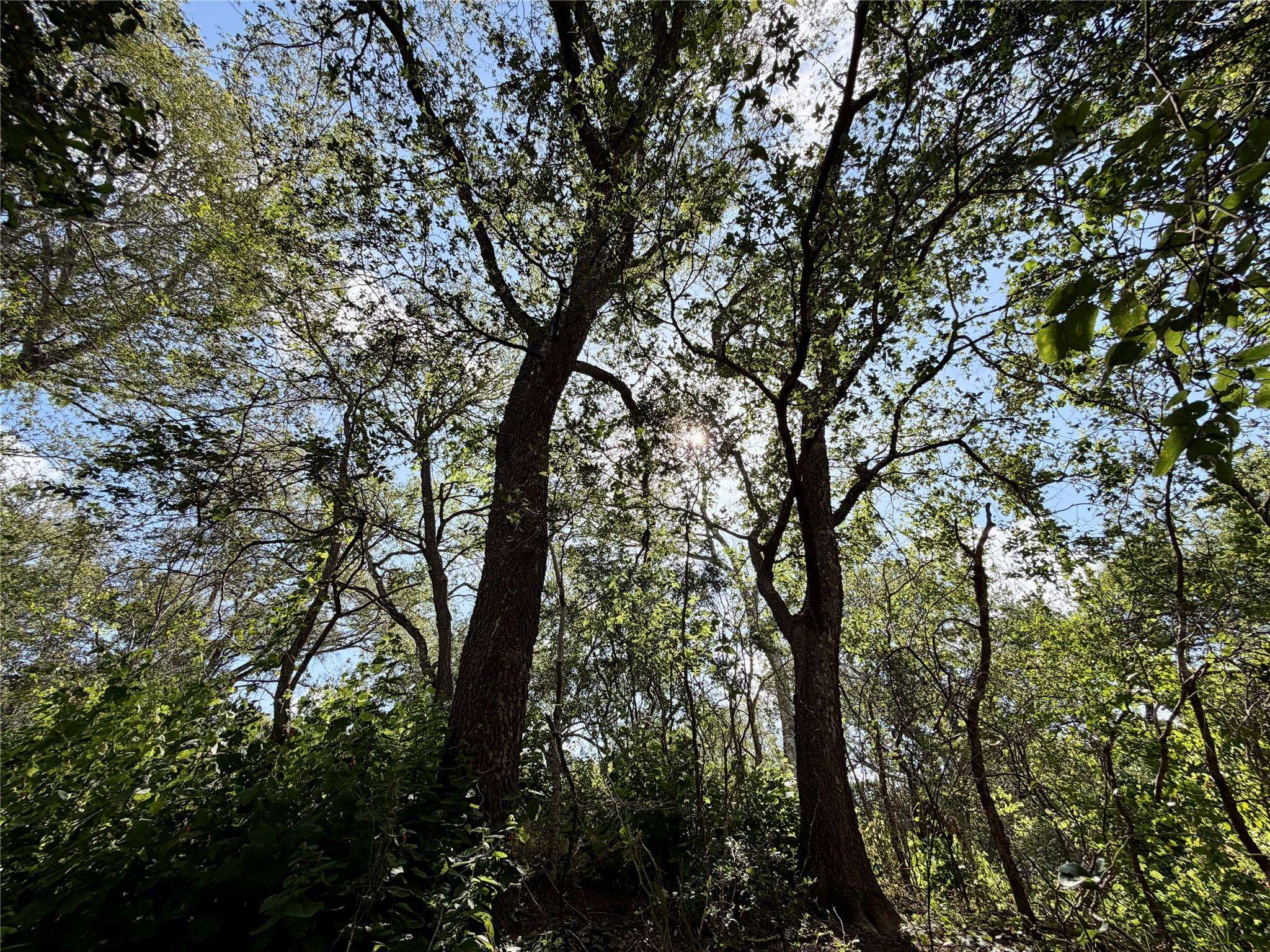 342 Riverside DR, Bastrop, TX 78602