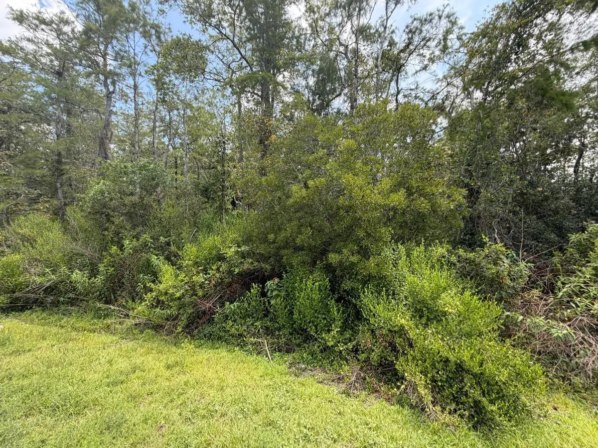 TUNBRIDGE ST, Orlando, FL 32833