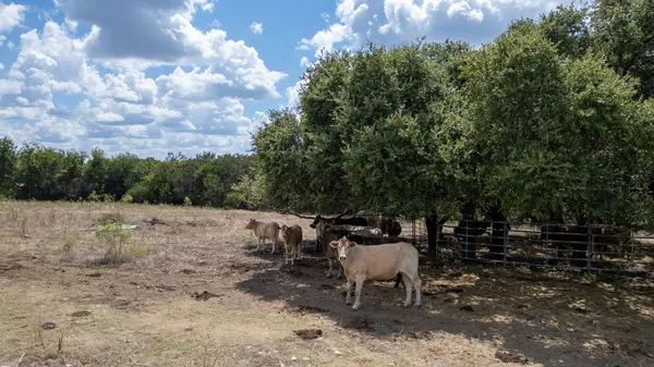 930 County Road 200, Burnet, TX 78611