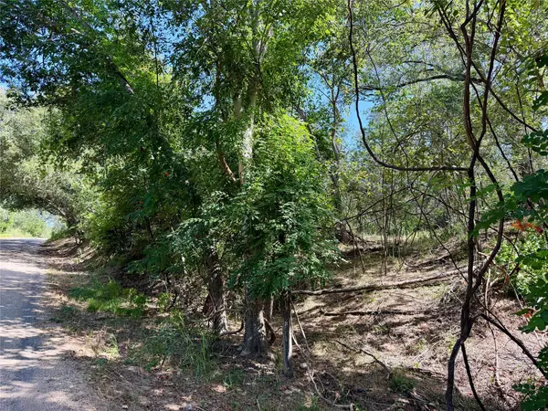 342 Riverside DR, Bastrop, TX 78602