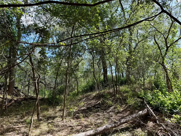 342 Riverside DR, Bastrop, TX 78602