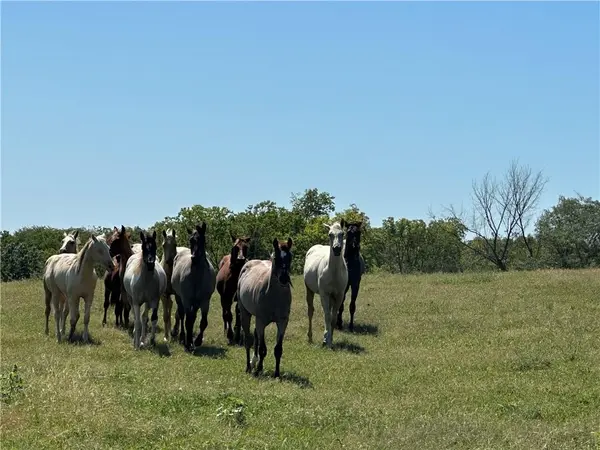 4 State Route D N/A, Savannah, MO 64485