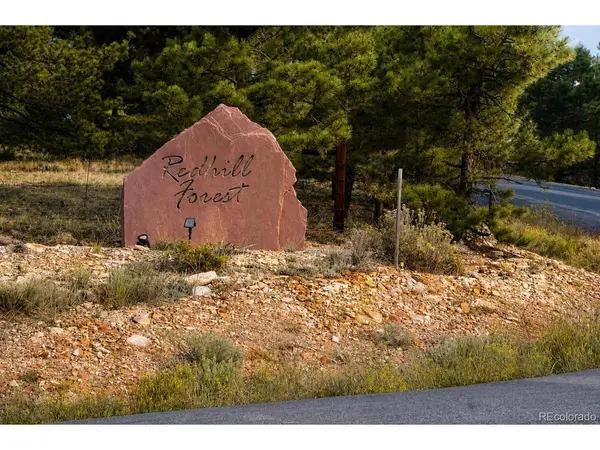 2271 Redhill, Fairplay, CO 80440