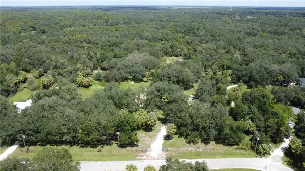 8538 SW OPOSSUM TRL, Arcadia, FL 34266