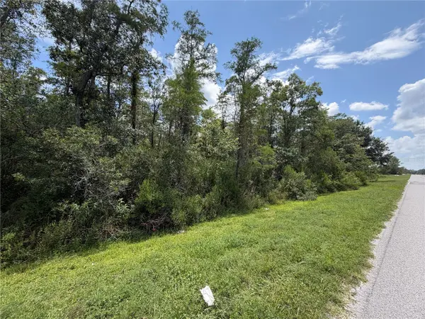 STARRY ST, Orlando, FL 32833