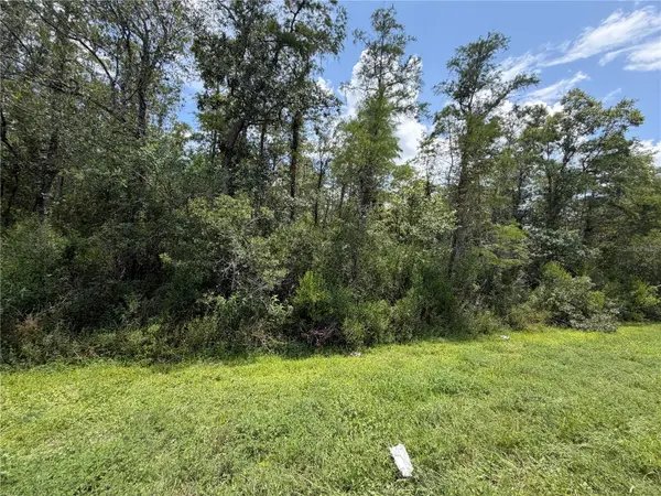 STARRY ST, Orlando, FL 32833