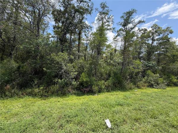 STARRY ST, Orlando, FL 32833