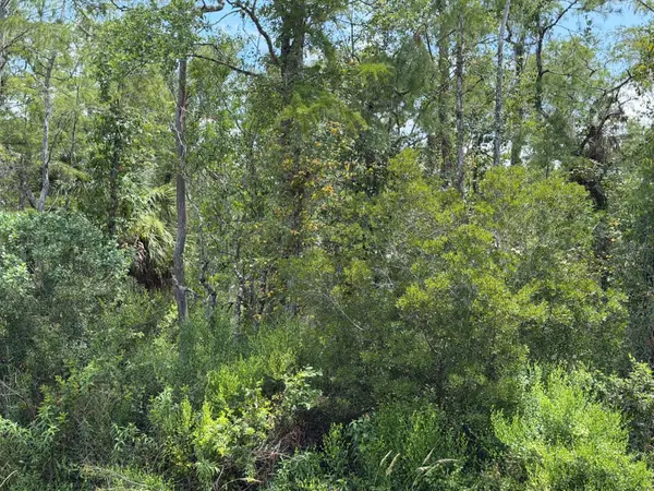 STARRY ST, Orlando, FL 32833