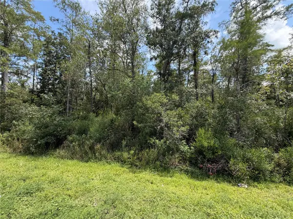 STARRY ST, Orlando, FL 32833