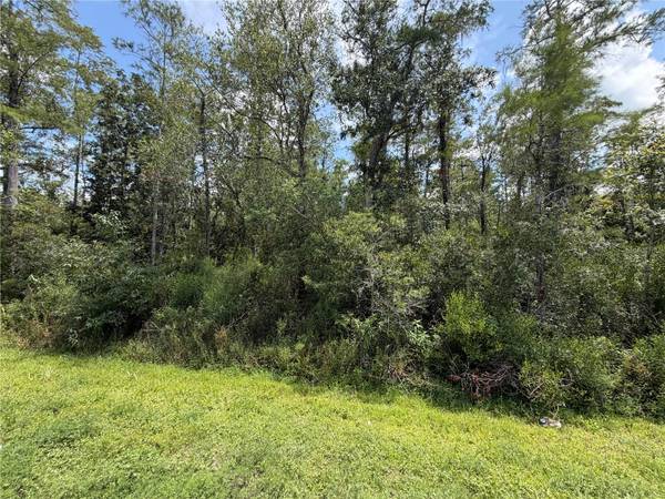 STARRY ST, Orlando, FL 32833