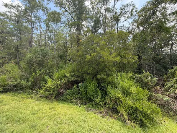 TUNBRIDGE ST, Orlando, FL 32833