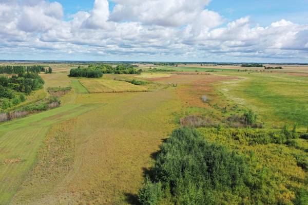 23307 210th AVE N, Ulen, MN 56585