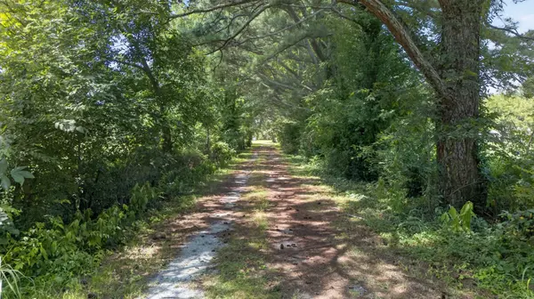 0 Yates Road, Hillsboro, TN 37342