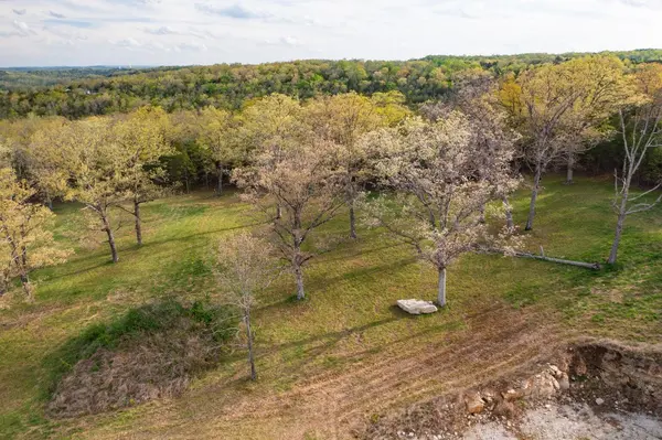 000 Dunn Road, Walnut Shade, MO 65771