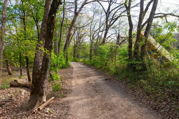 000 Dunn Road, Walnut Shade, MO 65771