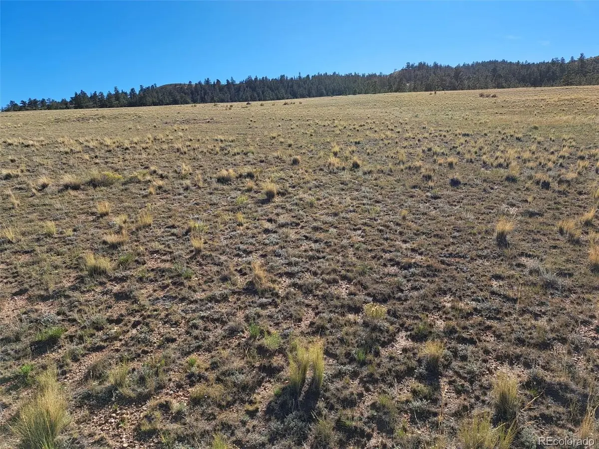 475 Summit, Hartsel, CO 80449