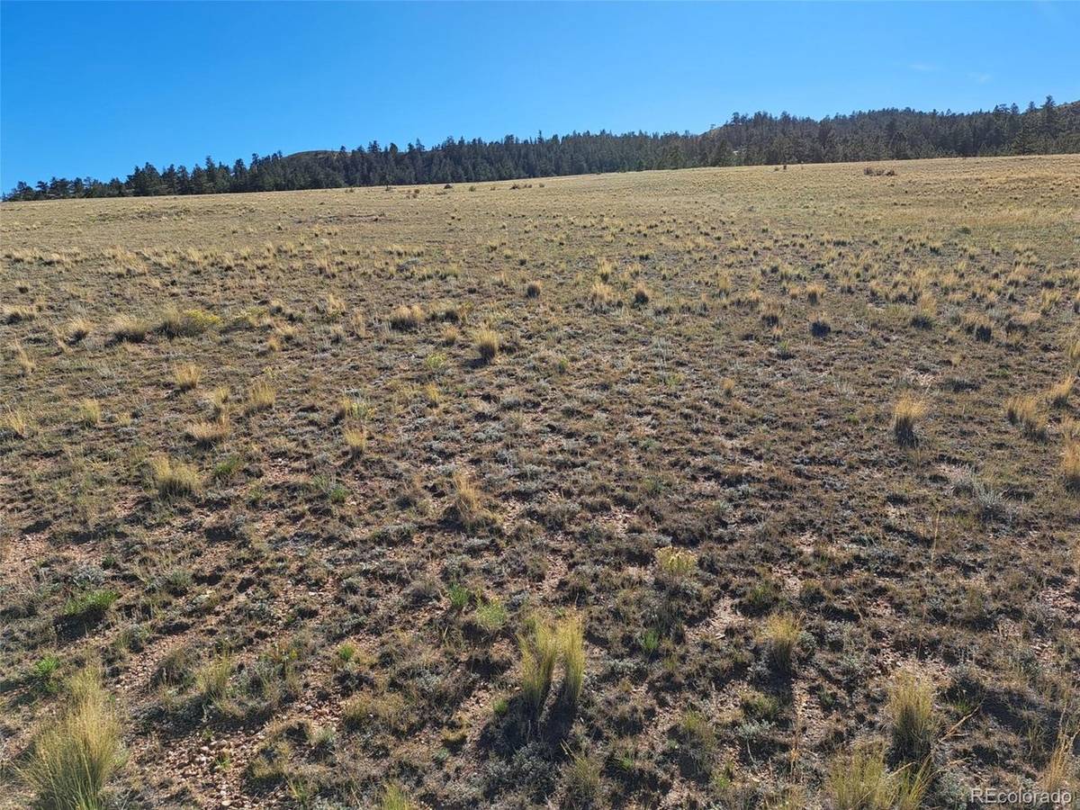 475 Summit, Hartsel, CO 80449
