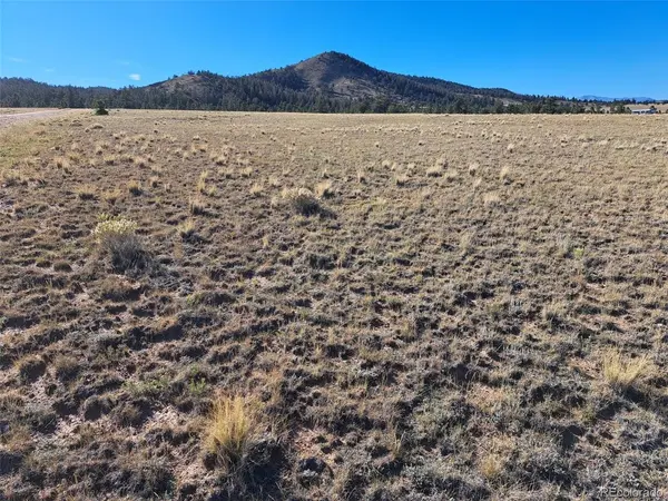 475 Summit, Hartsel, CO 80449