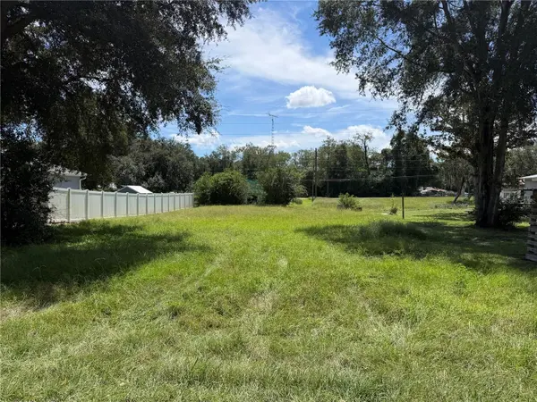 TBD SE 144TH PL, Summerfield, FL 34491