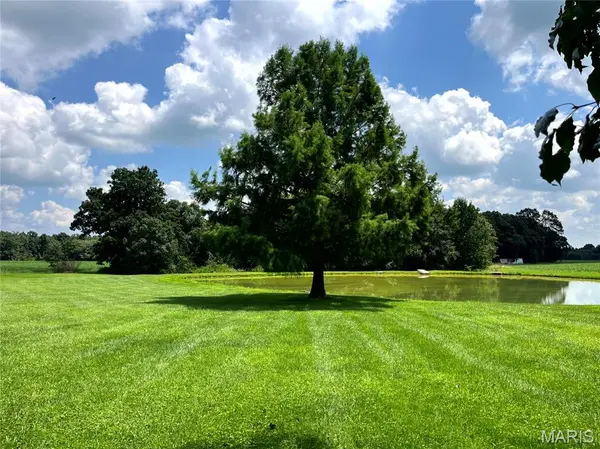 68 Seven Up RD, Bellflower, MO 63333