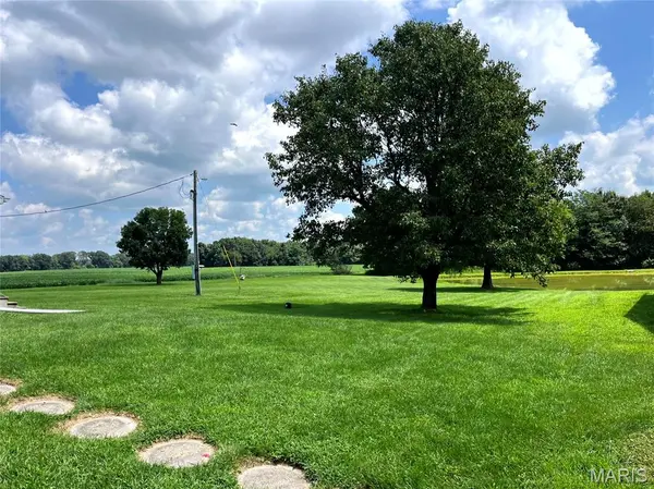 68 Seven Up RD, Bellflower, MO 63333