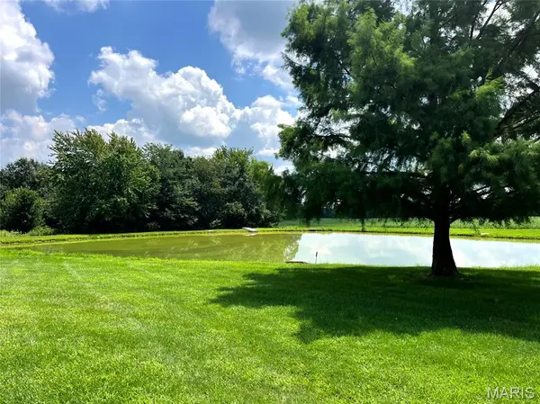 68 Seven Up RD, Bellflower, MO 63333