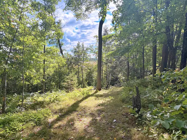 TBD Lantern Lane, Hackensack, MN 56452