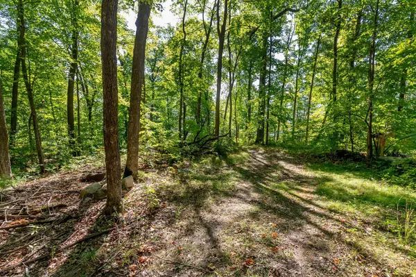 TBD Lantern Lane, Hackensack, MN 56452