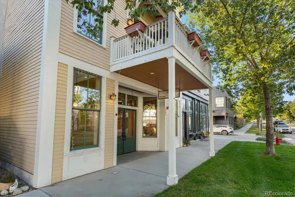 902 S Main ST, Buena Vista, CO 81211