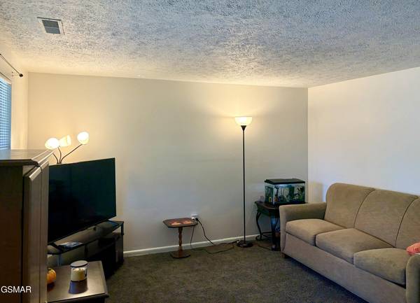 625 S Asbury Drive #20, Pigeon Forge, TN 37863