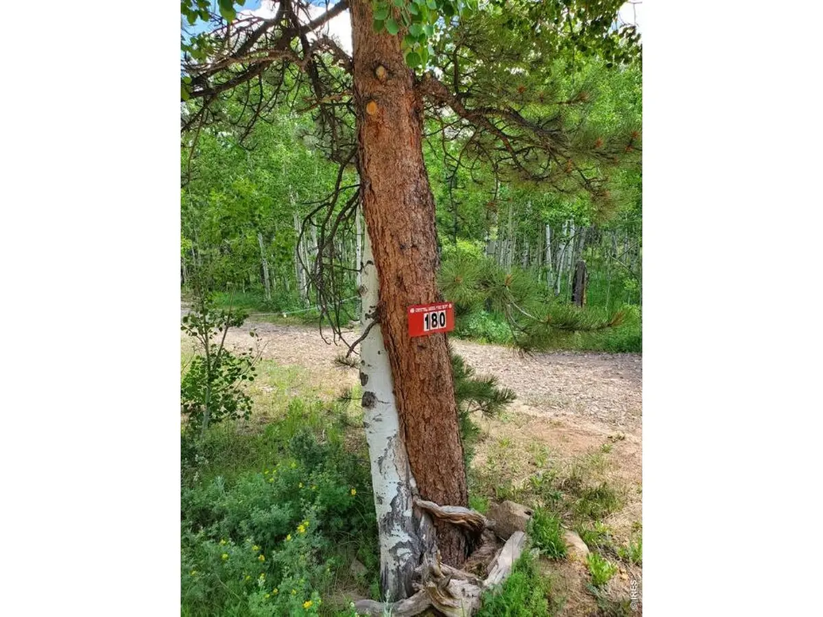 180 Yuki, Red Feather Lakes, CO 80545