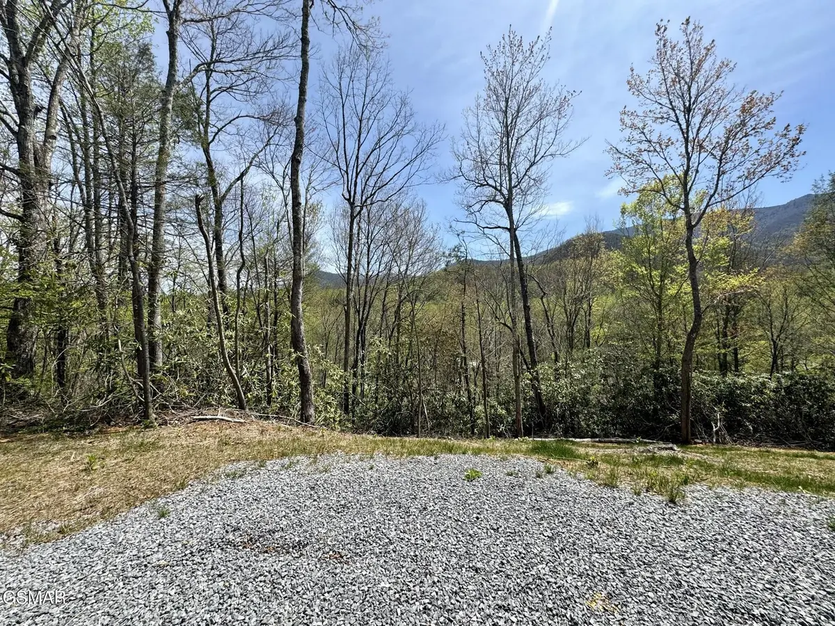 1 Cote Way, Cosby, TN 37722