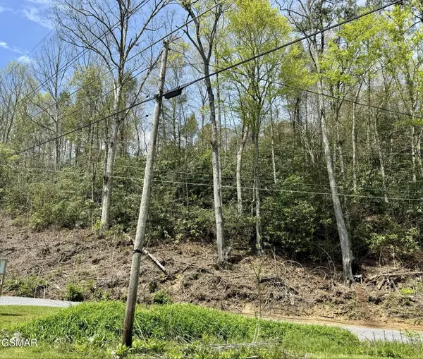 1 Cote Way, Cosby, TN 37722