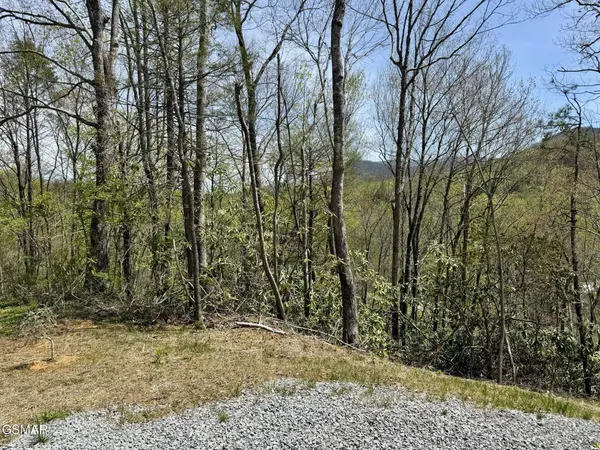 1 Cote Way, Cosby, TN 37722