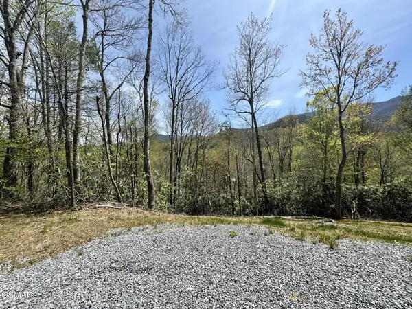 1 Cote Way,  Cosby,  TN 37722