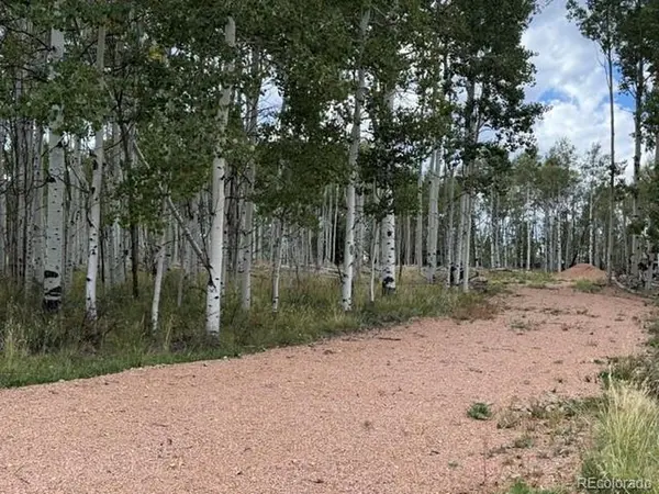 455 Aspen Way, Florissant, CO 80816