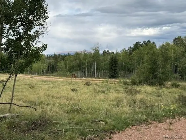 455 Aspen Way, Florissant, CO 80816