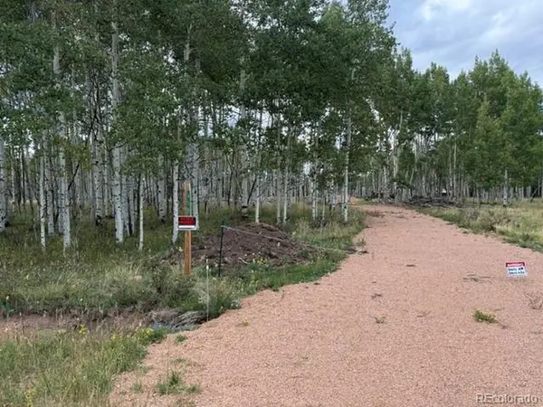 455 Aspen Way, Florissant, CO 80816